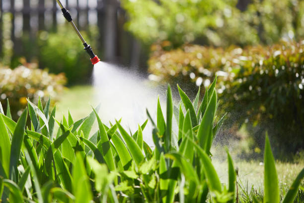 24/7 Emergency Termite Control experts in Selma, NC