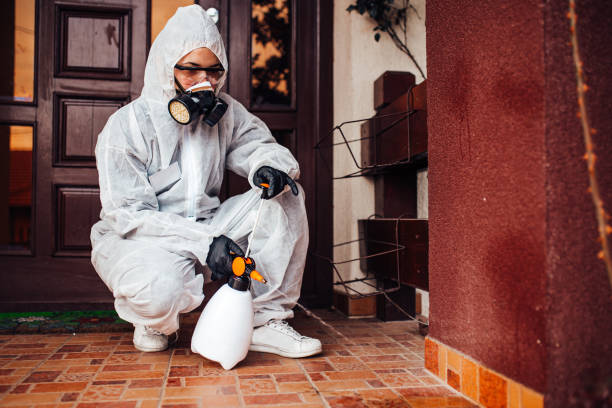Reliable Termite Control contractor in Selma, NC by Nex Pest Control